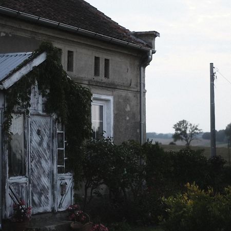 Miejsce Mocy Mazury Daire Kolno  Dış mekan fotoğraf