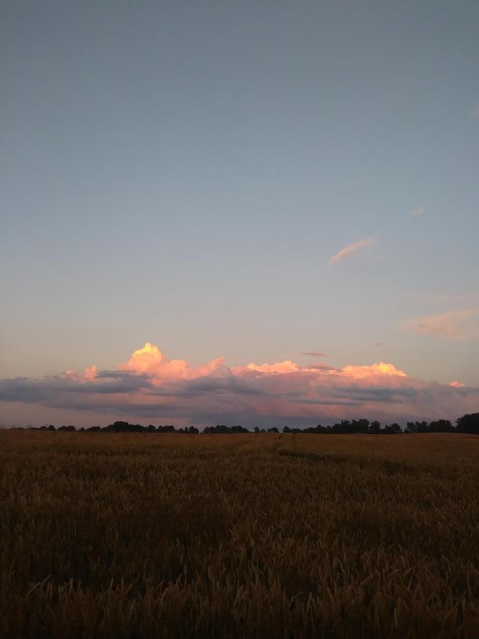 Miejsce Mocy Mazury Daire Kolno  Dış mekan fotoğraf