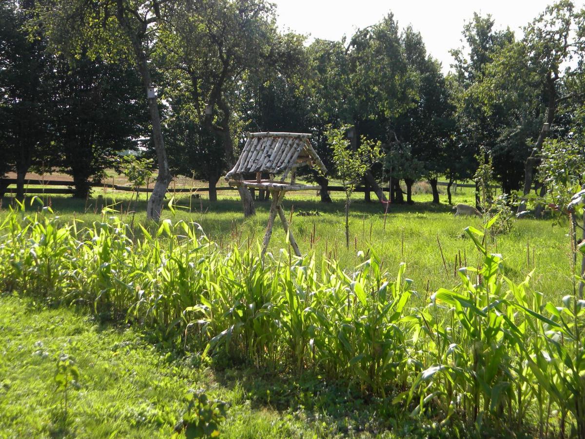 Miejsce Mocy Mazury Daire Kolno  Dış mekan fotoğraf