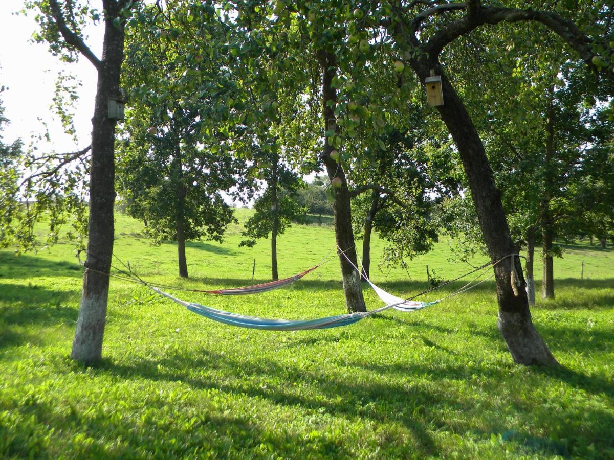 Miejsce Mocy Mazury Daire Kolno  Dış mekan fotoğraf