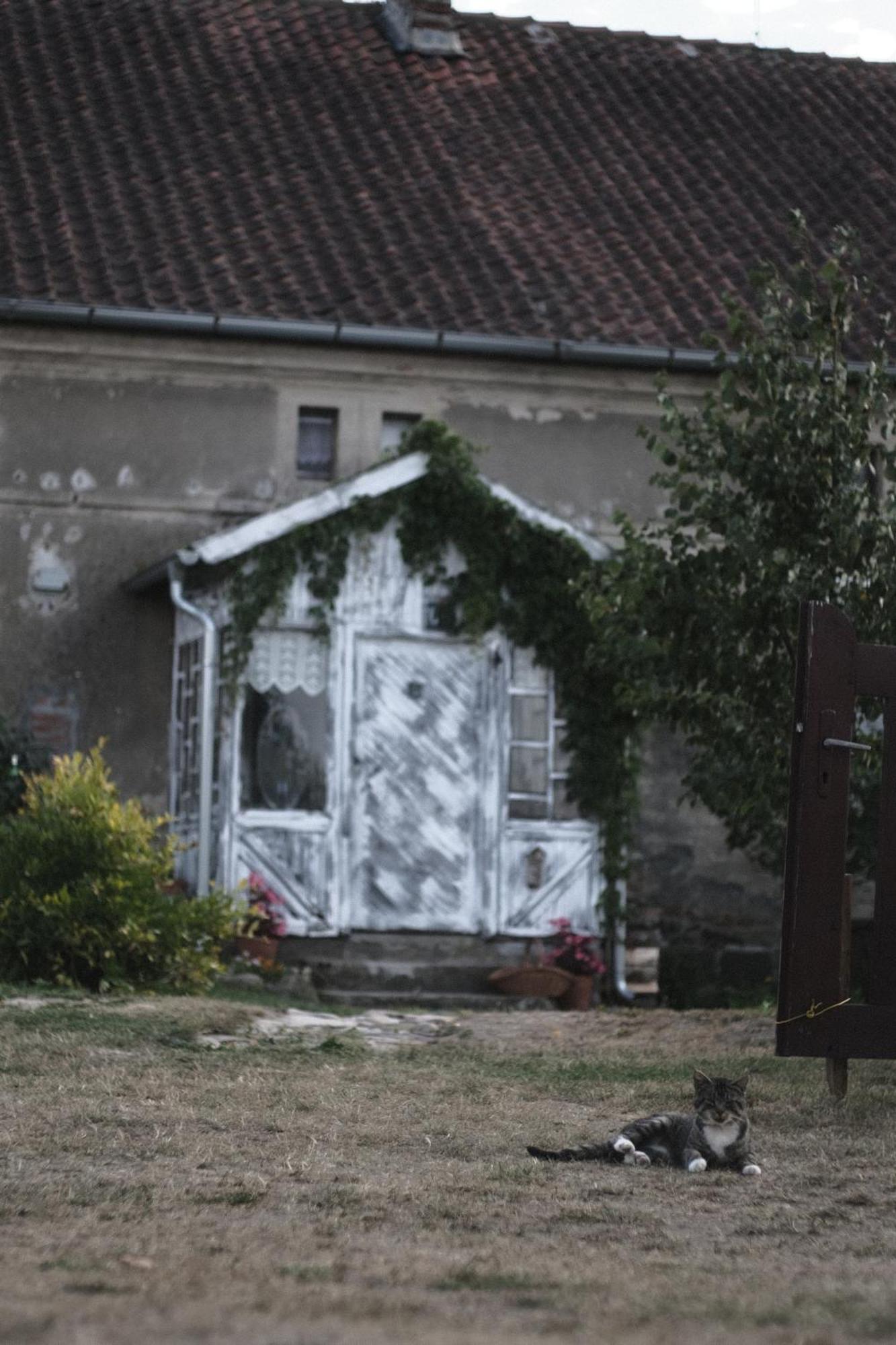 Miejsce Mocy Mazury Daire Kolno  Dış mekan fotoğraf